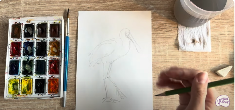 Рисуем Колпица Рисуем Колпица
