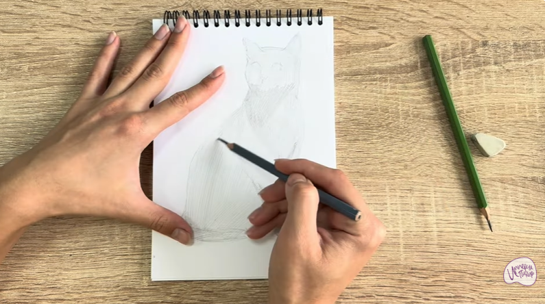 Рисуем Бурманский кот Рисуем Бурманский кот