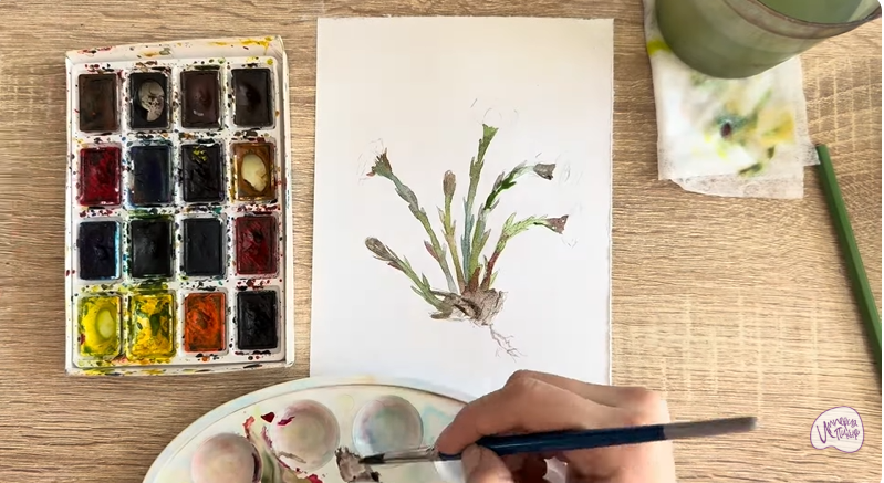 Рисуем Мать-и-мачеха