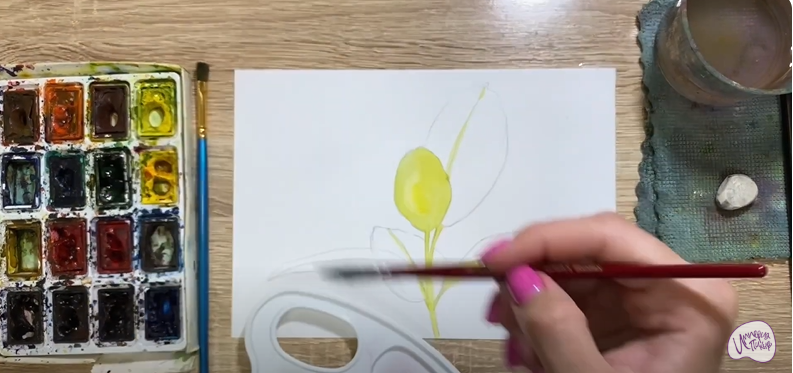 Рисуем Фикус
