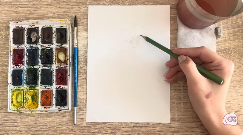 Рисуем Розовая смолёвка