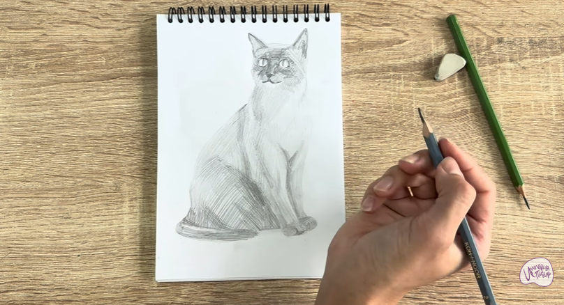 Рисуем Бурманский кот Рисуем Бурманский кот