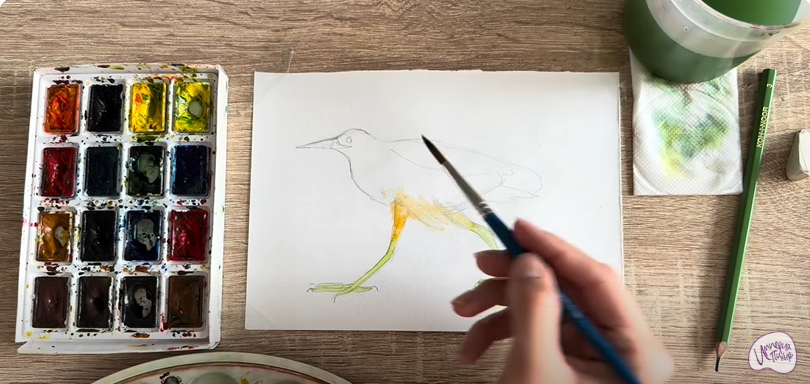 Рисуем Выпь Рисуем Выпь