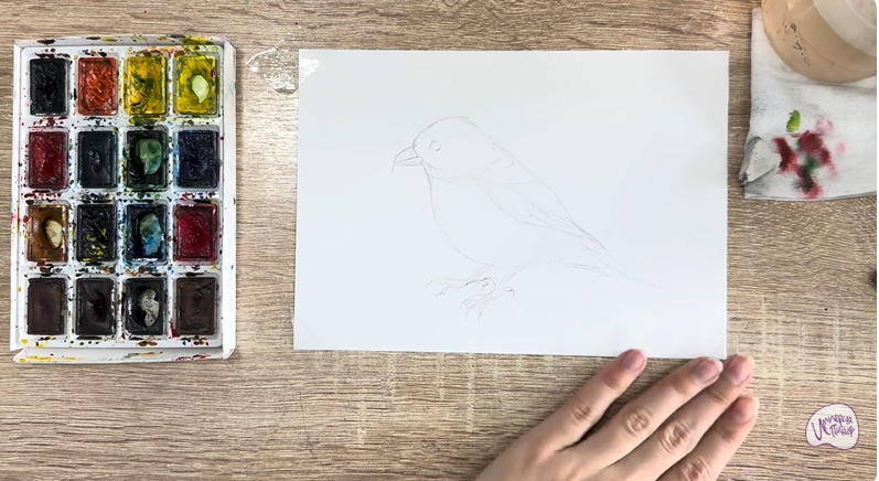 Рисуем Клест - еловик