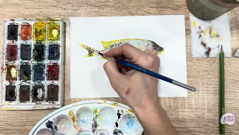 Рисуем Чернокрапчатый ворчун