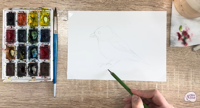 Рисуем Клест - еловик