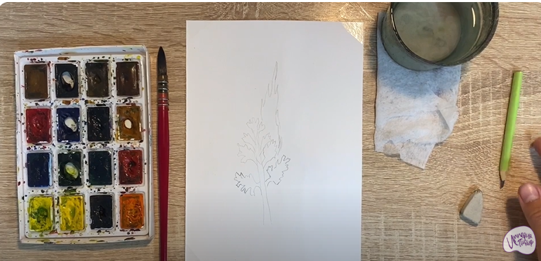 Рисуем Гроздовник ромашколистный