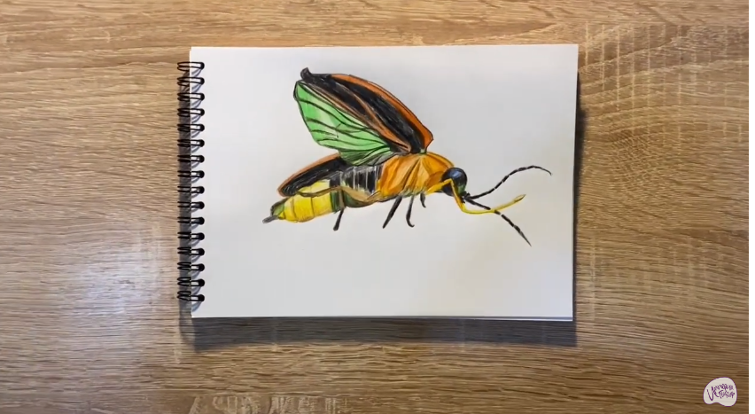 Рисуем Светлячок