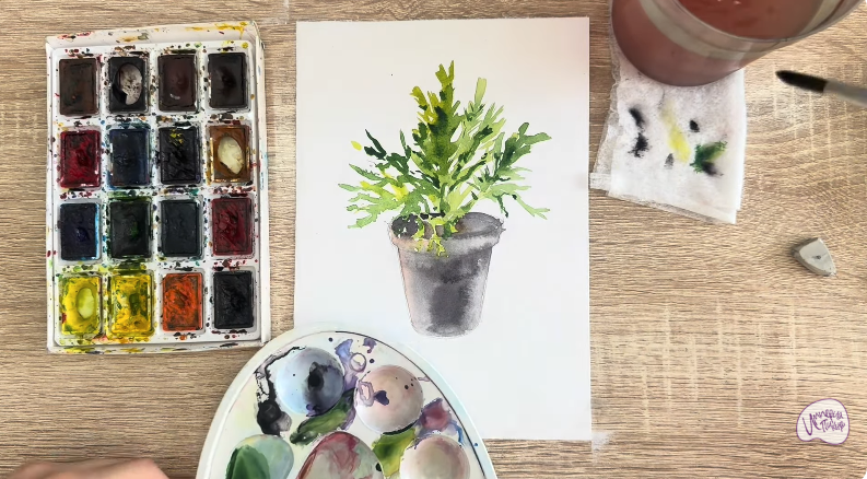 Рисуем Криптомерия японская