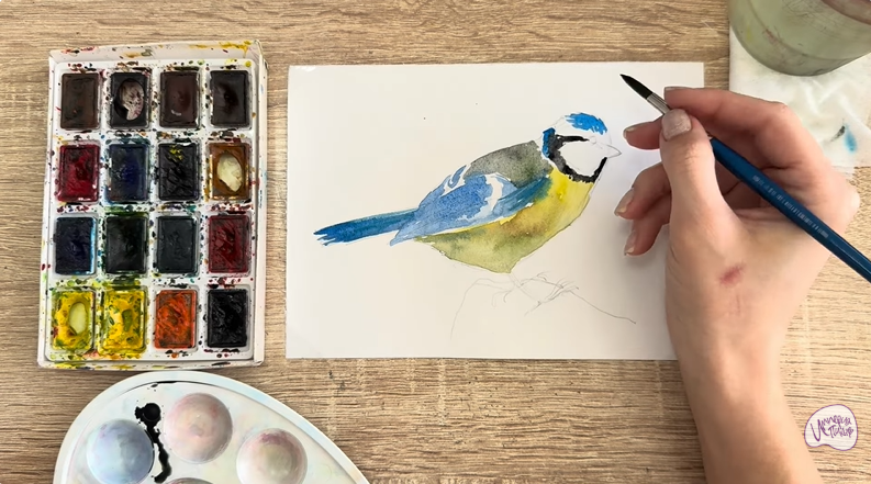 Рисуем Обыкновенная лазоревка