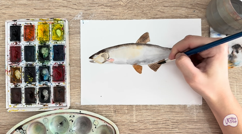 Рисуем Голавль