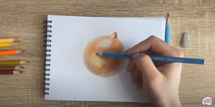 Рисуем Луковица