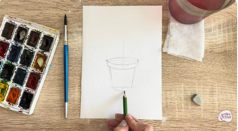 Рисуем Криптомерия японская