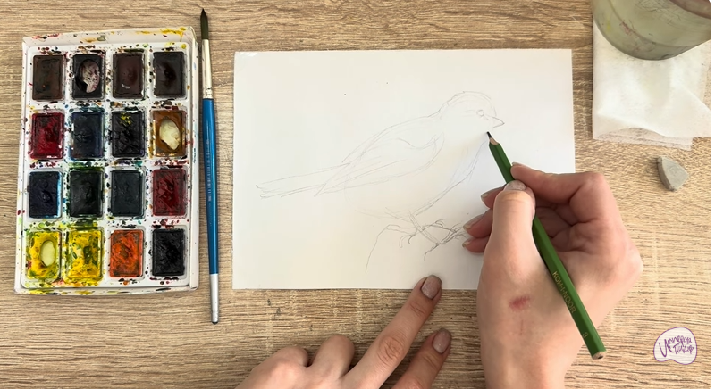 Рисуем Обыкновенная лазоревка