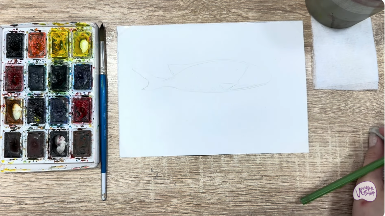 Рисуем Чернокрапчатый ворчун