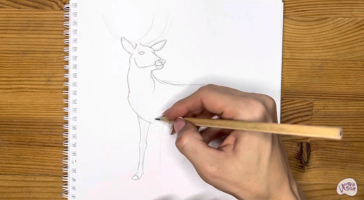 Рисуем Олень