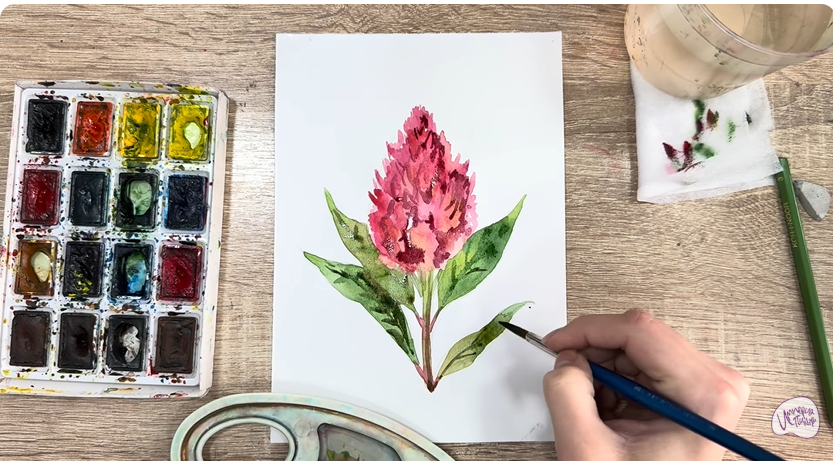 Рисуем Целозия