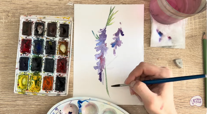 Рисуем Мышиный горошек