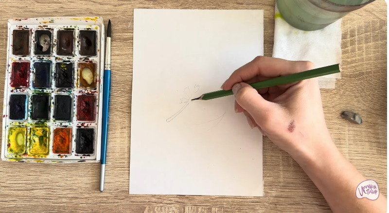 Рисуем Альбиция