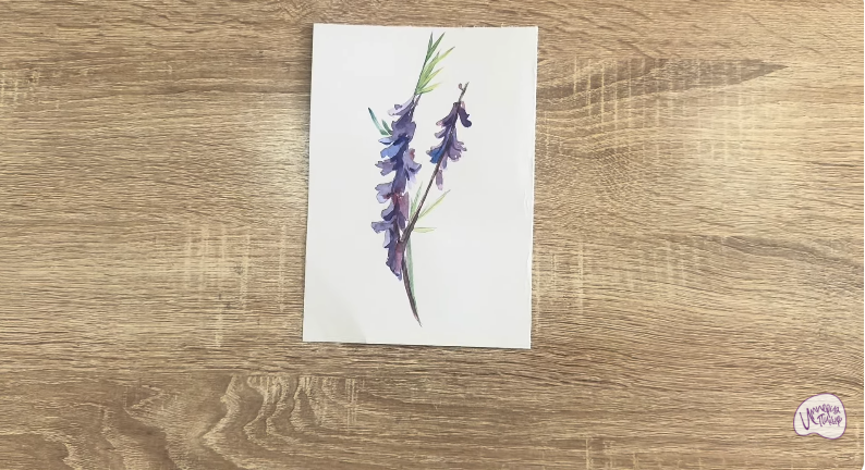 Рисуем Мышиный горошек