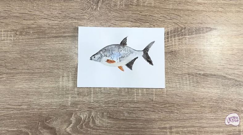 Рисуем Густера