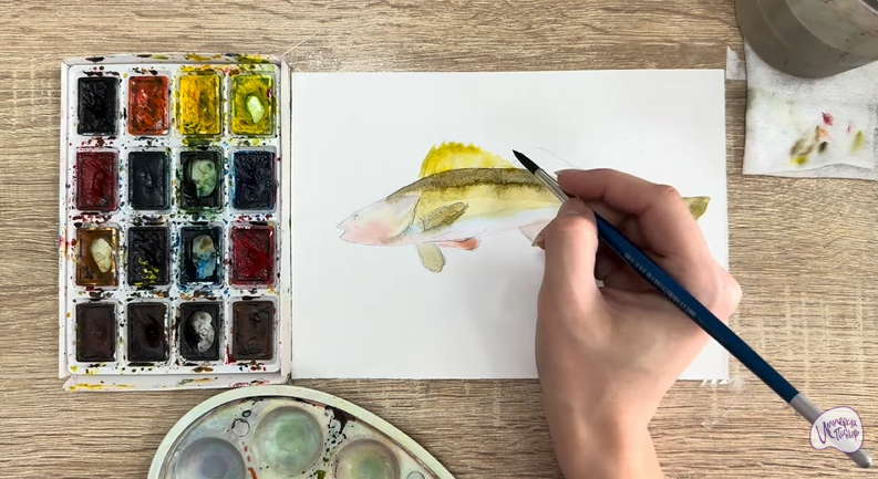 Рисуем Берш