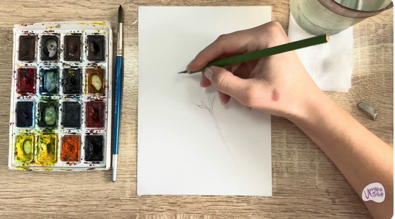 Рисуем Чина луговая