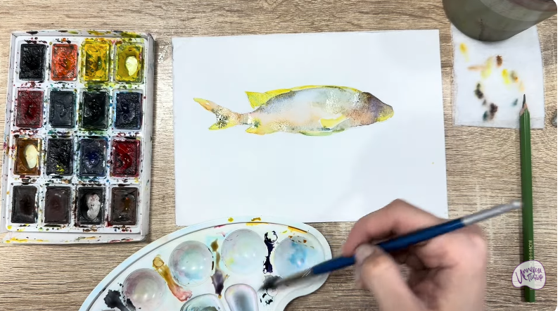 Рисуем Чернокрапчатый ворчун