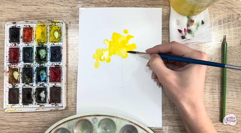 Рисуем Пижма