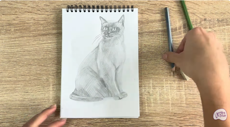Рисуем Бурманский кот Рисуем Бурманский кот