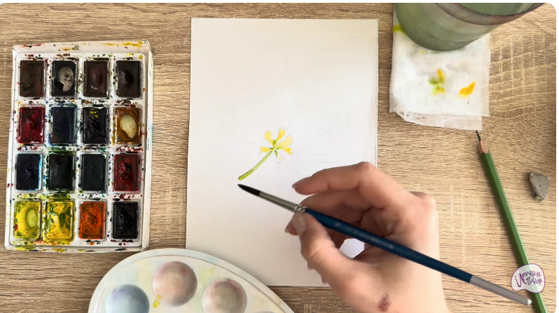 Рисуем Альбиция