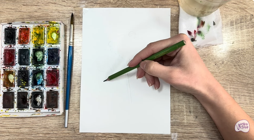 Рисуем Пижма