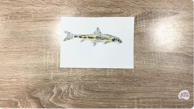 Рисуем Ленский пескарь