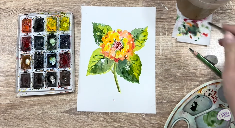 Рисуем Лантана Рисуем Лантана