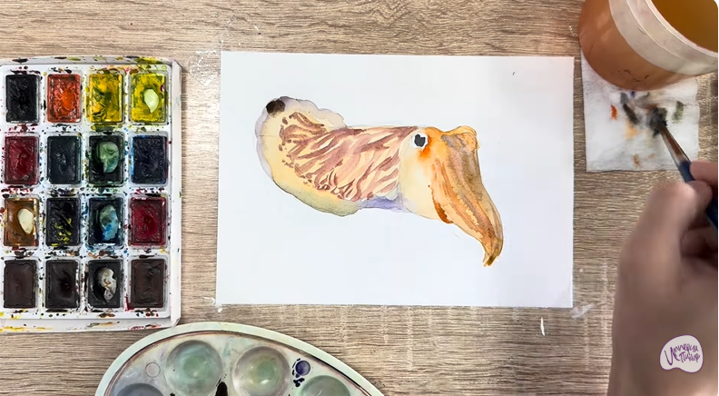 Рисуем Каракатица