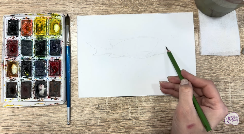 Рисуем Чернокрапчатый ворчун