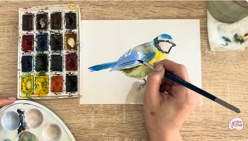 Рисуем Обыкновенная лазоревка