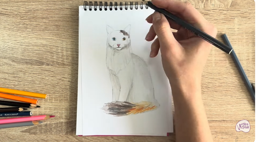 Рисуем Кот породы "Турецкий ван"