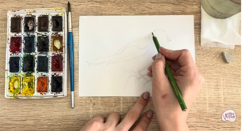 Рисуем Обыкновенная лазоревка