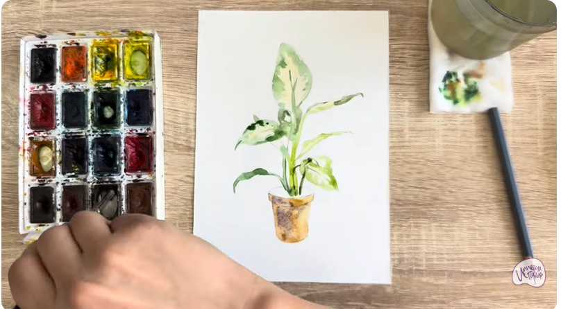 Рисуем Диффенбахия в горшке