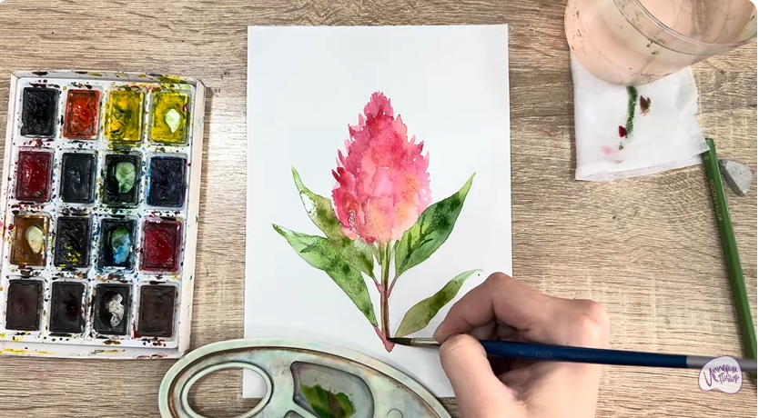 Рисуем Целозия