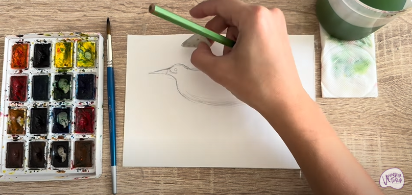 Рисуем Выпь Рисуем Выпь