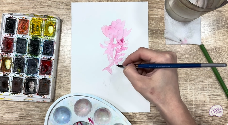 Рисуем Мирикария лисохвостая