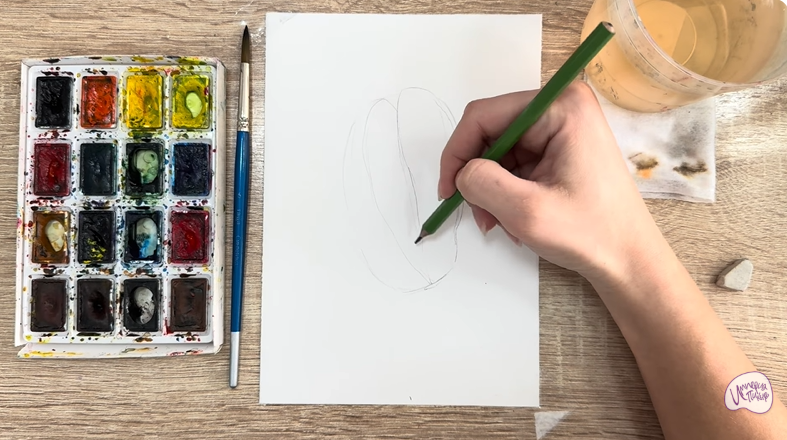 Рисуем Акебия