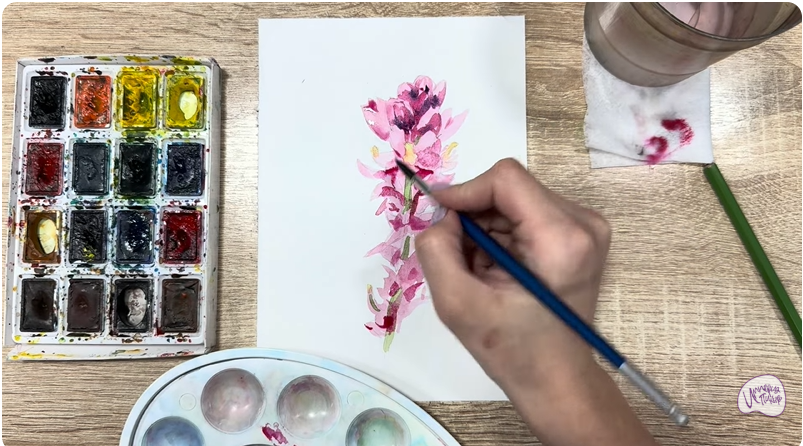 Рисуем Мирикария лисохвостая