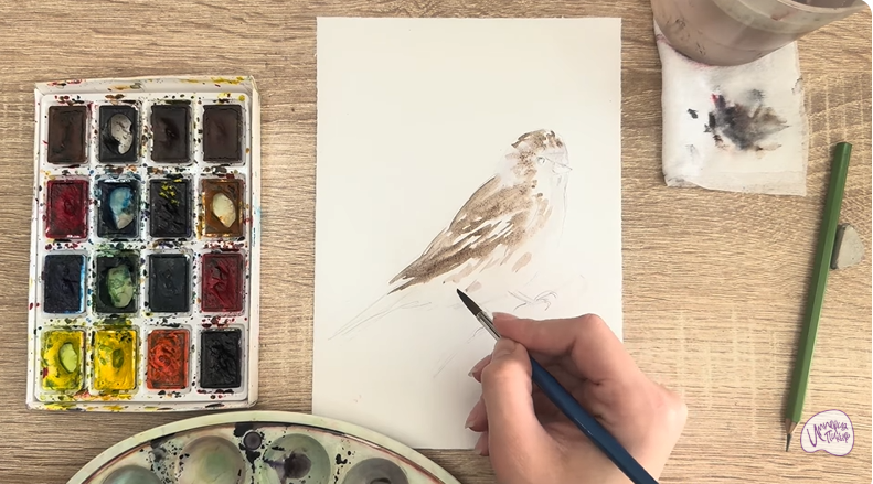 Рисуем Обыкновенная чечётка