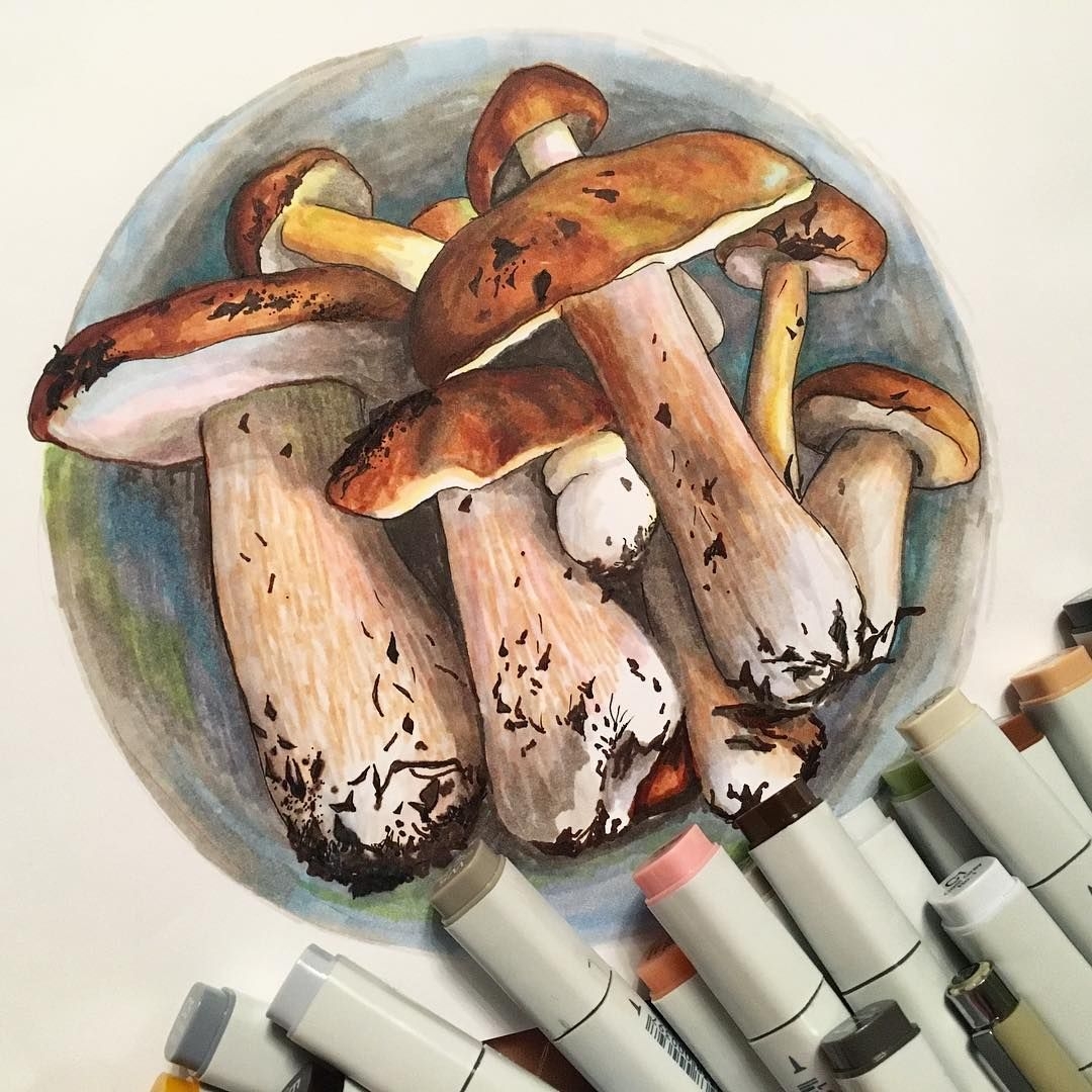 Рисуем Скетчинг