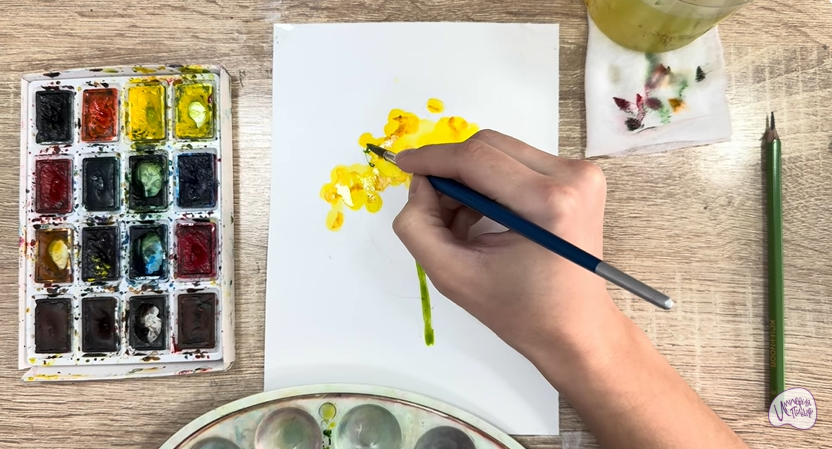 Рисуем Пижма