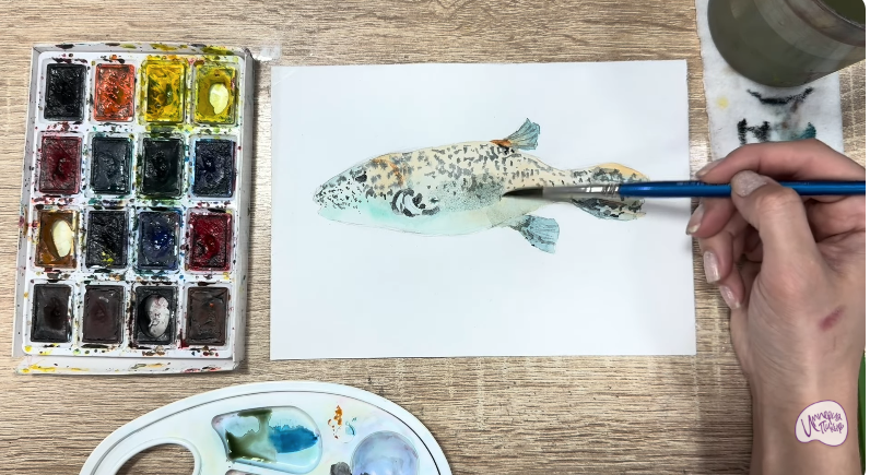 Рисуем Аротрон звёздчатый