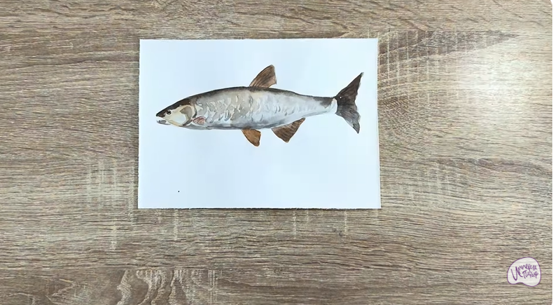 Рисуем Голавль